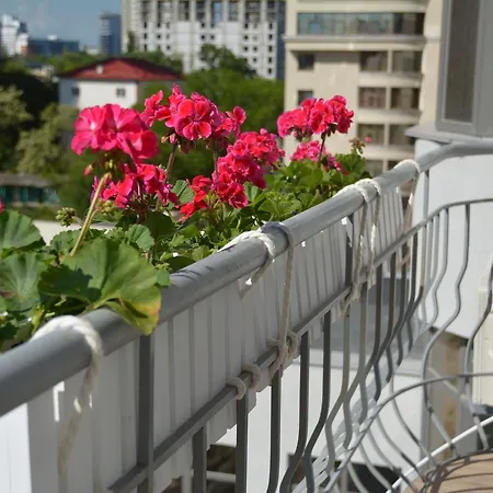 Arkadia Plaza Design Apartment